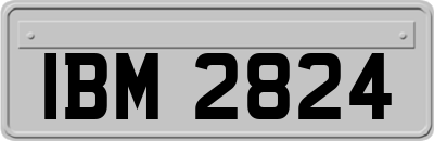 IBM2824