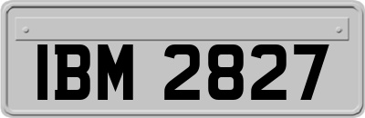 IBM2827