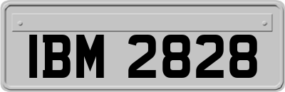 IBM2828