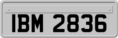 IBM2836