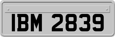 IBM2839