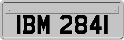 IBM2841