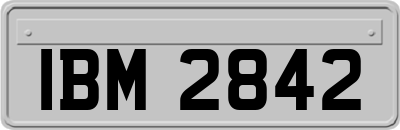 IBM2842