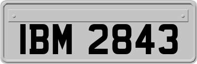 IBM2843