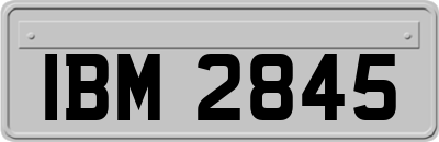 IBM2845