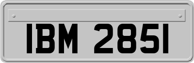 IBM2851