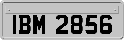 IBM2856