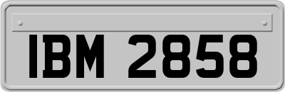 IBM2858