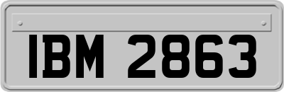 IBM2863