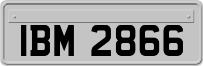 IBM2866