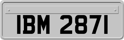 IBM2871