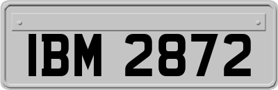 IBM2872