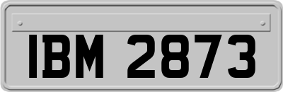 IBM2873