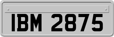 IBM2875