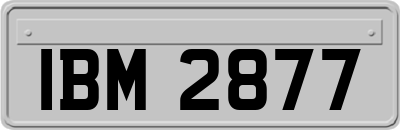 IBM2877