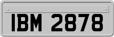 IBM2878