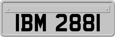 IBM2881