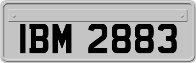 IBM2883