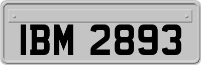 IBM2893