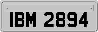 IBM2894