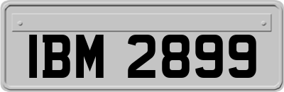 IBM2899