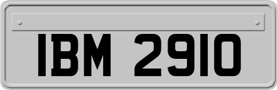 IBM2910