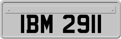 IBM2911