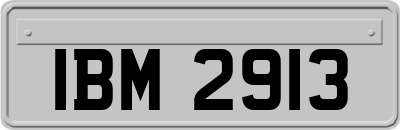 IBM2913