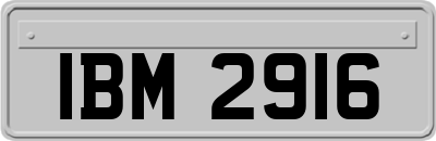 IBM2916