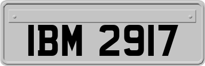 IBM2917