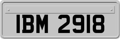 IBM2918