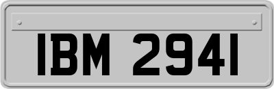 IBM2941