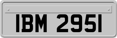 IBM2951