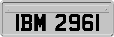 IBM2961