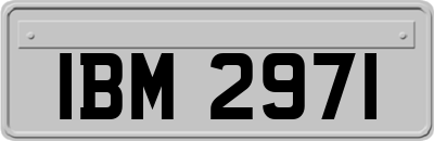 IBM2971