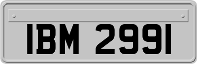 IBM2991