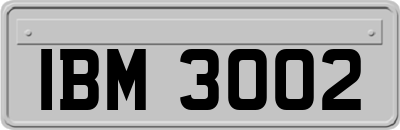 IBM3002