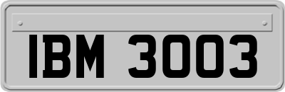 IBM3003