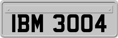 IBM3004