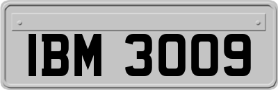 IBM3009