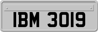 IBM3019