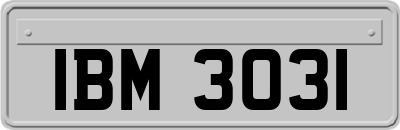 IBM3031