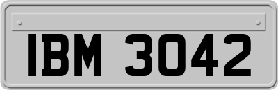 IBM3042