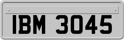 IBM3045