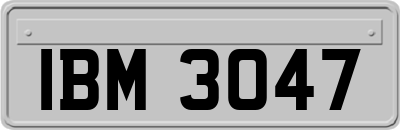 IBM3047