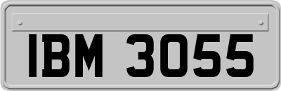 IBM3055