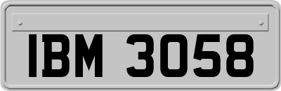 IBM3058