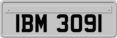 IBM3091