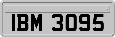 IBM3095