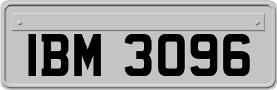 IBM3096